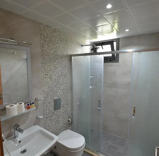 Arti̇m 3* フェティエ