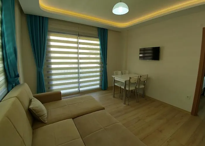 Arti̇m