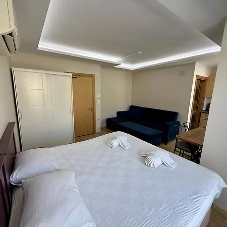 Arti̇m Fethiye